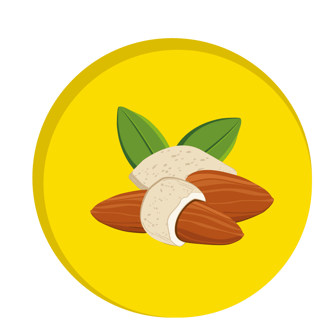 MM_Almonds.png