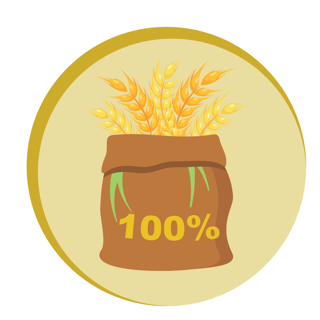 MM_ChocoChip_WholeWheat(Atta) copy.png