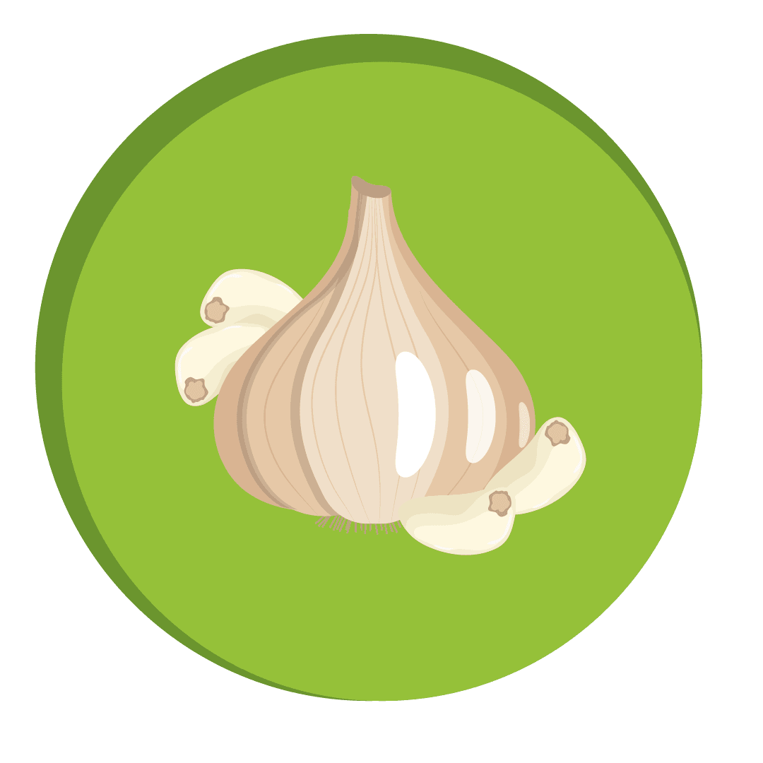 M_Britannia_Garlic.png