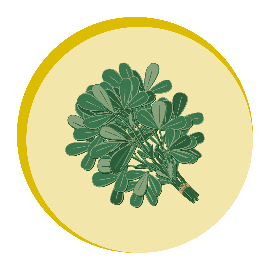 M_Britannia_KasuriMethi.png